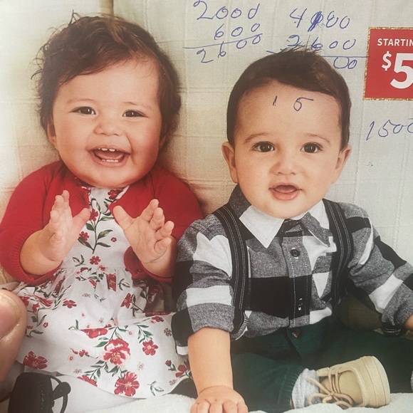 Timberland Wheats - Picture 6 of 6